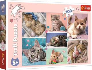 Puzzle V kočičím světě 100 dílků
